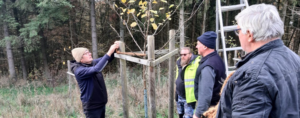 Rodder Gemeinde Rodder Informativer Obstbaumschnittkurs Gemeinde Rodder Eifel 20221126 150457
