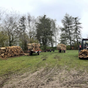 Rodder Gemeinde Rodder Startseite Startseite ,Gemeinde Gemeinde Rodder Eifel Bildschirmfoto 2023 05 01 um 20.20.37