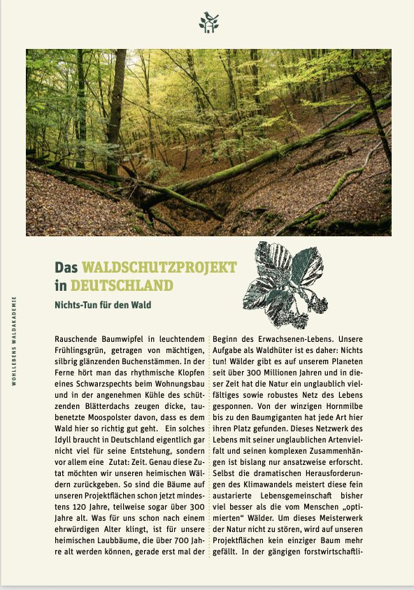 Rodder Gemeinde Rodder Das Urwald Projekt Gemeinde Rodder Eifel Bildschirmfoto 2025 06 22 um 21.27.58